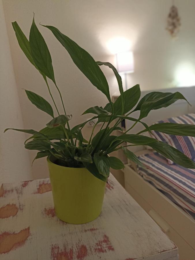 Apartmán Confortable Habitacion Centrica En Piso Privado Màlaga Exteriér fotografie
