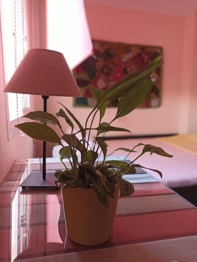 Apartmán Confortable Habitacion Centrica En Piso Privado Màlaga Exteriér fotografie